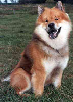 Egor