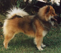 Eiko