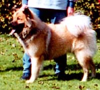 Garry