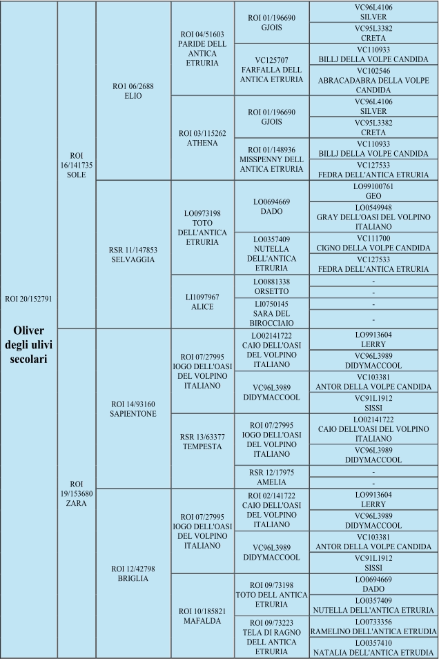 ROI 20/152791       Oliver   degli ulivi   secolari   ROI  16/141735   SOLE   RO1 06/2688   ELIO   ROI 04/51603   PARIDE DELL  ANTICA  ETRURIA   ROI 01/196690   GJOIS   VC96L4106   SILVER   VC95L3382   CRETA   VC125707   FARFALLA DELL  ANTICA ETRURIA   VC110933   BILLJ DELLA VOLPE CANDIDA   VC102546   ABRACADABRA DELLA VOLPE  CANDIDA   ROI 03/115262   ATHENA   ROI 01/196690   GJOIS   VC96L4106   SILVER   VC95L3382   CRETA   ROI 01/148936   MISSPENNY DELL  ANTICA ETRURIA   VC110933   BILLJ DELLA VOLPE CANDIDA   VC127533   FEDRA DELL'ANTICA ETRURIA   RSR 11/147853   SELVAGGIA   LO0973198   TOTO  DELL'ANTICA  ETRURIA   LO0694669   DADO   LO99100761   GEO   LO0549948   GRAY DELL'OASI DEL VOLPINO  ITALIANO   LO0357409   NUTELLA  DELL'ANTICA  ETRURIA   VC111700   CIGNO DELLA VOLPE CANDIDA   VC127533   FEDRA DELL'ANTICA ETRURIA   LI1097967   ALICE   LO0881338   ORSETTO   -   -   LI0750145   SARA DEL  BIROCCIAIO   -   -   ROI  19/153680   ZARA   ROI 14/93160   SAPIENTONE   ROI 07/27995   IOGO DELL'OASI  DEL VOLPINO  ITALIANO   LO02141722   CAIO DELL'OASI  DEL VOLPINO  ITALIANO   LO9913604   LERRY   VC96L3989   DIDYMACCOOL   VC96L3989   DIDYMACCOOL   VC103381   ANTOR DELLA VOLPE CANDIDA   VC91L1912   SISSI   RSR 13/63377   TEMPESTA       ROI 07/27995   IOGO DELL'OASI  DEL VOLPINO  ITALIANO   LO02141722   CAIO DELL'OASI DEL VOLPINO  ITALIANO   VC96L3989   DIDYMACCOOL   RSR 12/17975   AMELIA   -   -   ROI 12/42798   BRIGLIA   ROI 07/27995   IOGO DELL'OASI  DEL VOLPINO  ITALIANO   ROI 02/141722   CAIO DELL'OASI  DEL VOLPINO  ITALIANO   LO9913604   LERRY   VC96L3989   DIDYMACCOOL   VC96L3989   DIDYMACCOOL   VC103381   ANTOR DELLA VOLPE CANDIDA   VC91L1912   SISSI   ROI 10/185821   MAFALDA   ROI 09/73198   TOTO DELL ANTICA  ETRURIA   LO0694669   DADO   LO0357409   NUTELLA DELL'ANTICA ETRURIA   ROI 09/73223   TELA DI RAGNO  DELL ANTICA  ETRURIA   LO0733356   RAMELINO DELL'ANTICA ETRUDIA   LO0357410   NATALIA DELL'ANTICA ETRUDIA