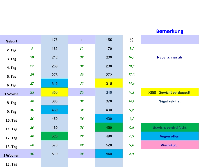 Bemerkung Geburt + 175 + 155 % 2. Tag 8 183 15 170 7,1 3. Tag 29 212 30 200 16,7 Nabelschnur ab 4. Tag 27 239 30 230 13,9 5. Tag 39 278 42 272 17,3 6. Tag 37 315 43 315 14,6 1 Woche 35 350 25 340 9,5 >350   Gewicht verdoppelt  8. Tag 40 390 30 370 10,1 Nägel gekürzt 9. Tag 40 430 30 400 9,2 10. Tag 20 450 30 430 6,1 11. Tag 30 480 30 460 6,8 Gewicht verdreifacht 12. Tag 40 520 20 480 6,3 Augen offen 13. Tag 50 570 40 520 9,0 Wurmkur…   2 Wochen 40 610 20 540 5,4 15. Tag