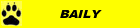 Baily von den Wuppertatzen